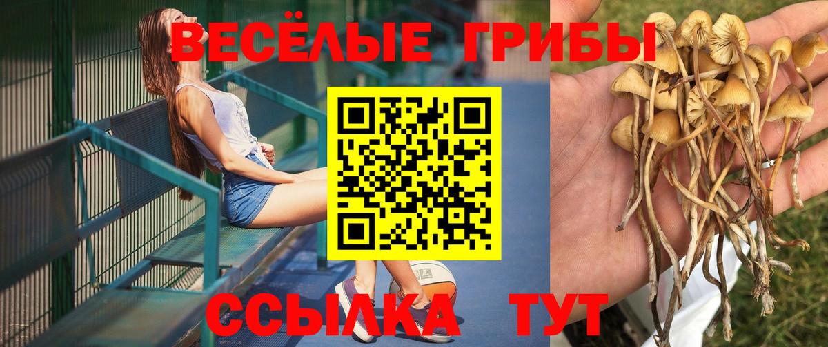 Галлюциногенные грибы мухоморы Батайск
