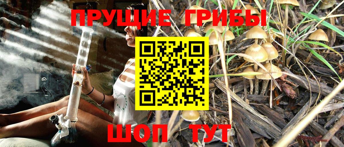 Галлюциногенные грибы мицелий  Вход с VPN  Батайск 